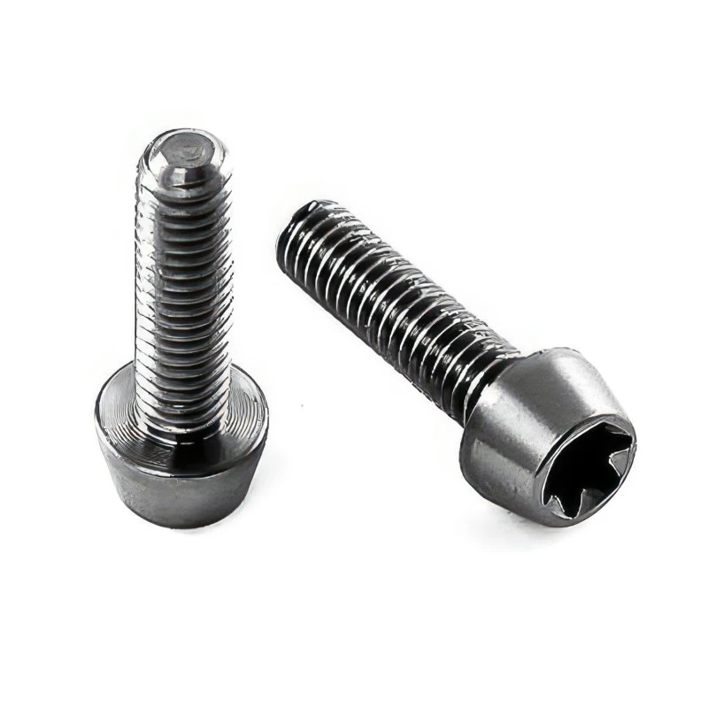 Titan Schraube M4 X 25mm - Torx T25 Konischer Kopf 1 Titan Schraube M4 X 25mm - Torx T25 Konischer Kopf