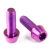 Titan Schrauben - Innensechskant Konischer Kopf - Violett